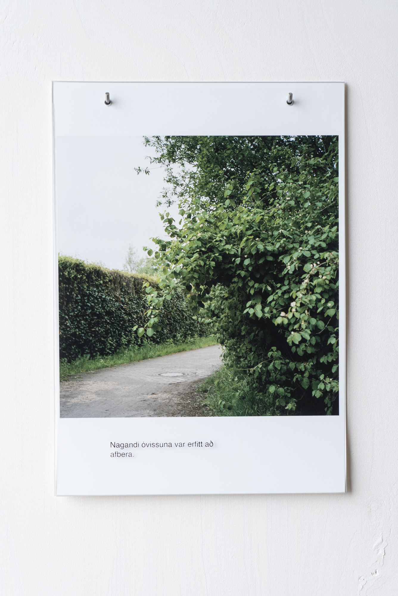 Anne Rombach Anne Rombach / work / titill {k} - Titel {m}