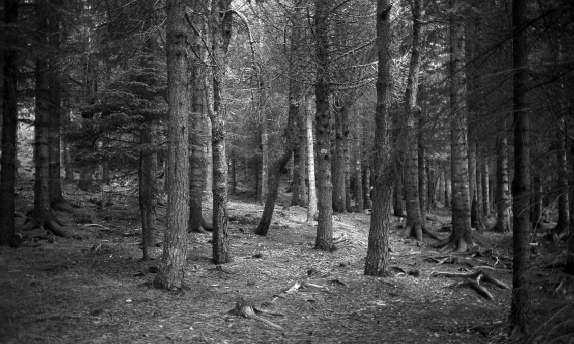 Anne Rombach Anne Rombach / work / Fotorgrafie