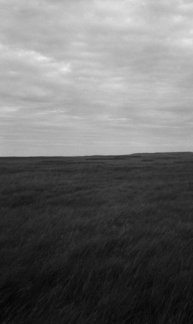 Anne Rombach Anne Rombach / work / Fotorgrafie