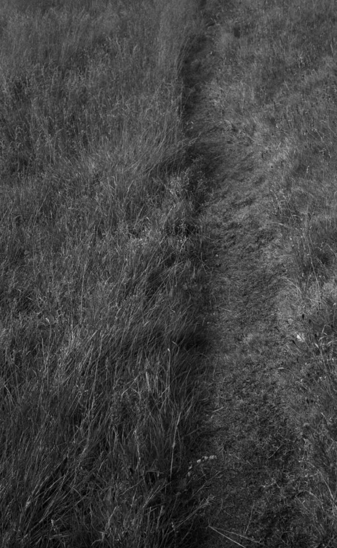 Anne Rombach Anne Rombach / work / Fotorgrafie
