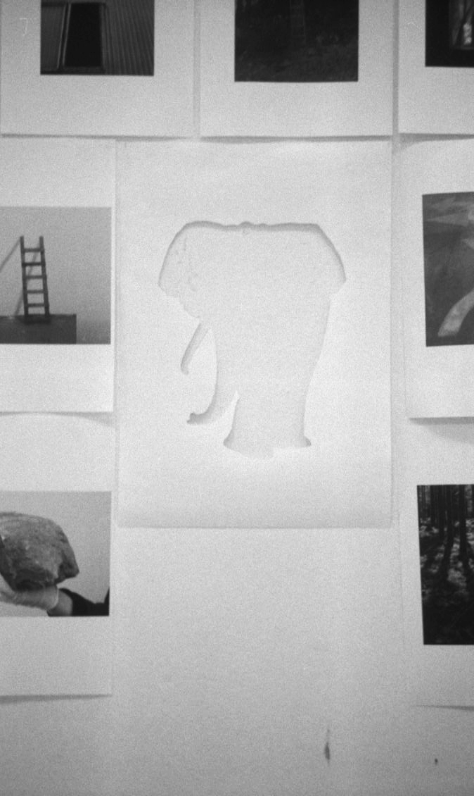 Anne Rombach Anne Rombach / work / Fotorgrafie